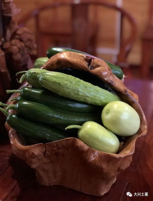 每日必吃大瓜网红大