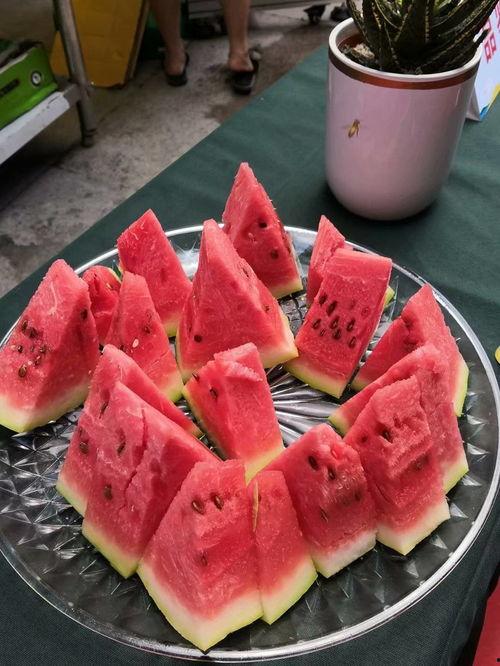 宁夏网红吃瓜,一场视觉与味蕾的双重盛宴