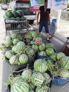 郫县网红吃瓜事件