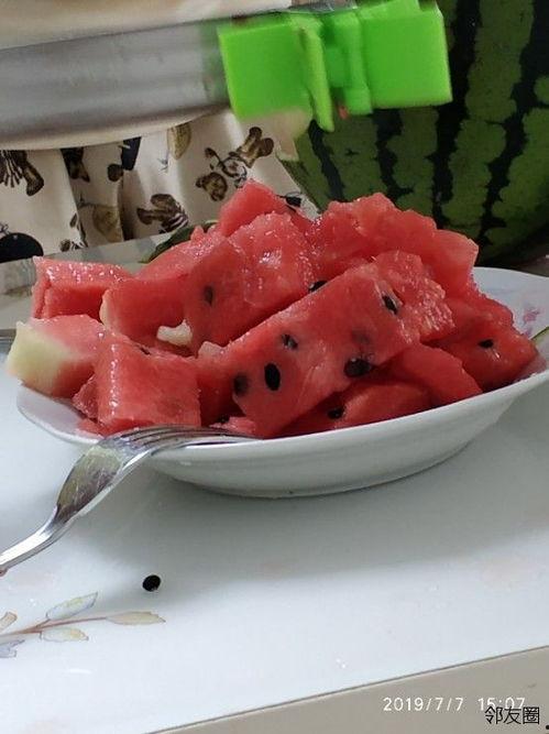 网红吃瓜工具,揭秘网红圈背后的秘密武器