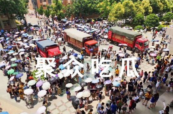 吃瓜学校网课,揭秘网课背后的趣味与挑战