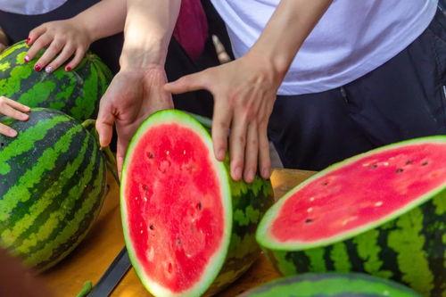 信工大学网红吃瓜事件,揭秘校园网络热点的背后真相