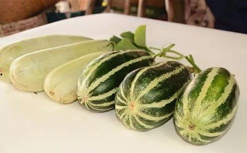 八卦吃瓜网红图片高清大图