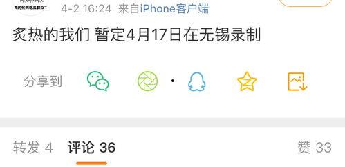 网络吃瓜视频网,揭秘娱乐圈幕后故事