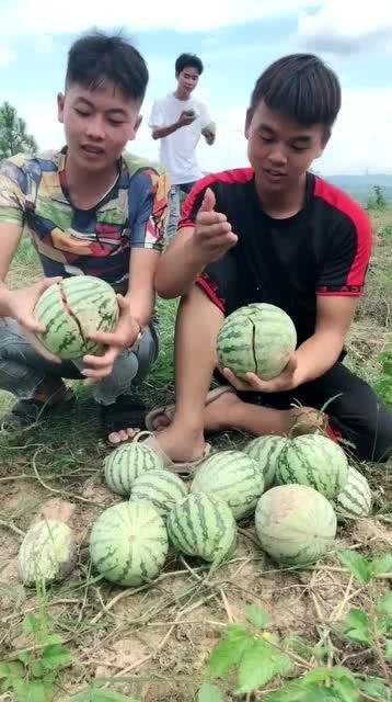 网红吃瓜户外,揭秘娱乐圈幕后真相