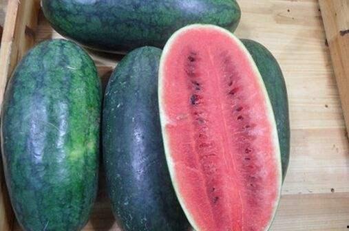 黑料正能量网红吃瓜群